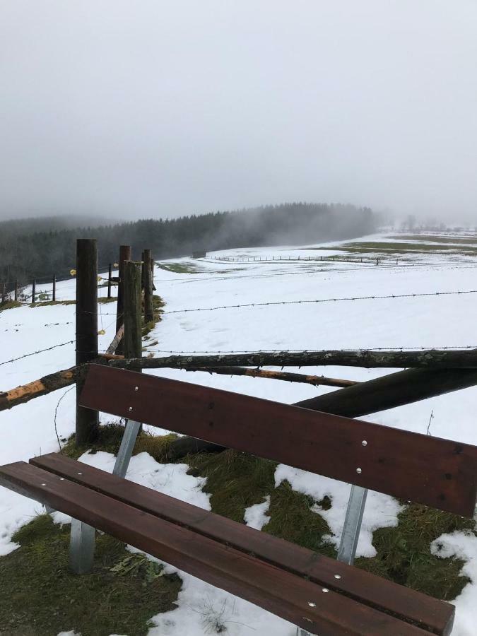 Ferienhaus Schneeweiss Winterberg Kültér fotó