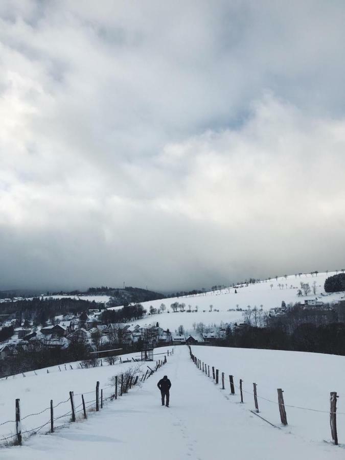Ferienhaus Schneeweiss Winterberg Kültér fotó