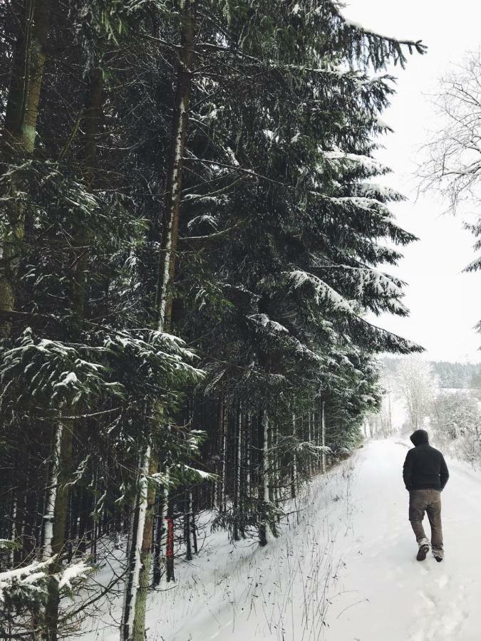 Ferienhaus Schneeweiss Winterberg Kültér fotó