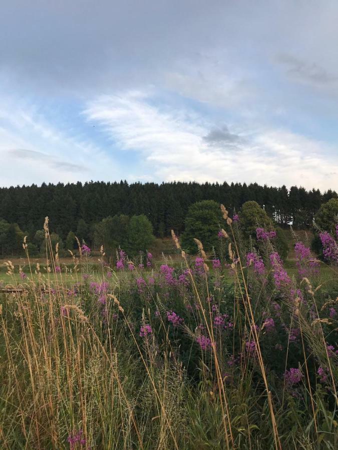 Ferienhaus Schneeweiss Winterberg Kültér fotó